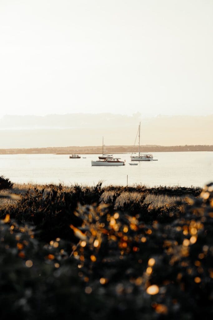 white boat on sea during daytime