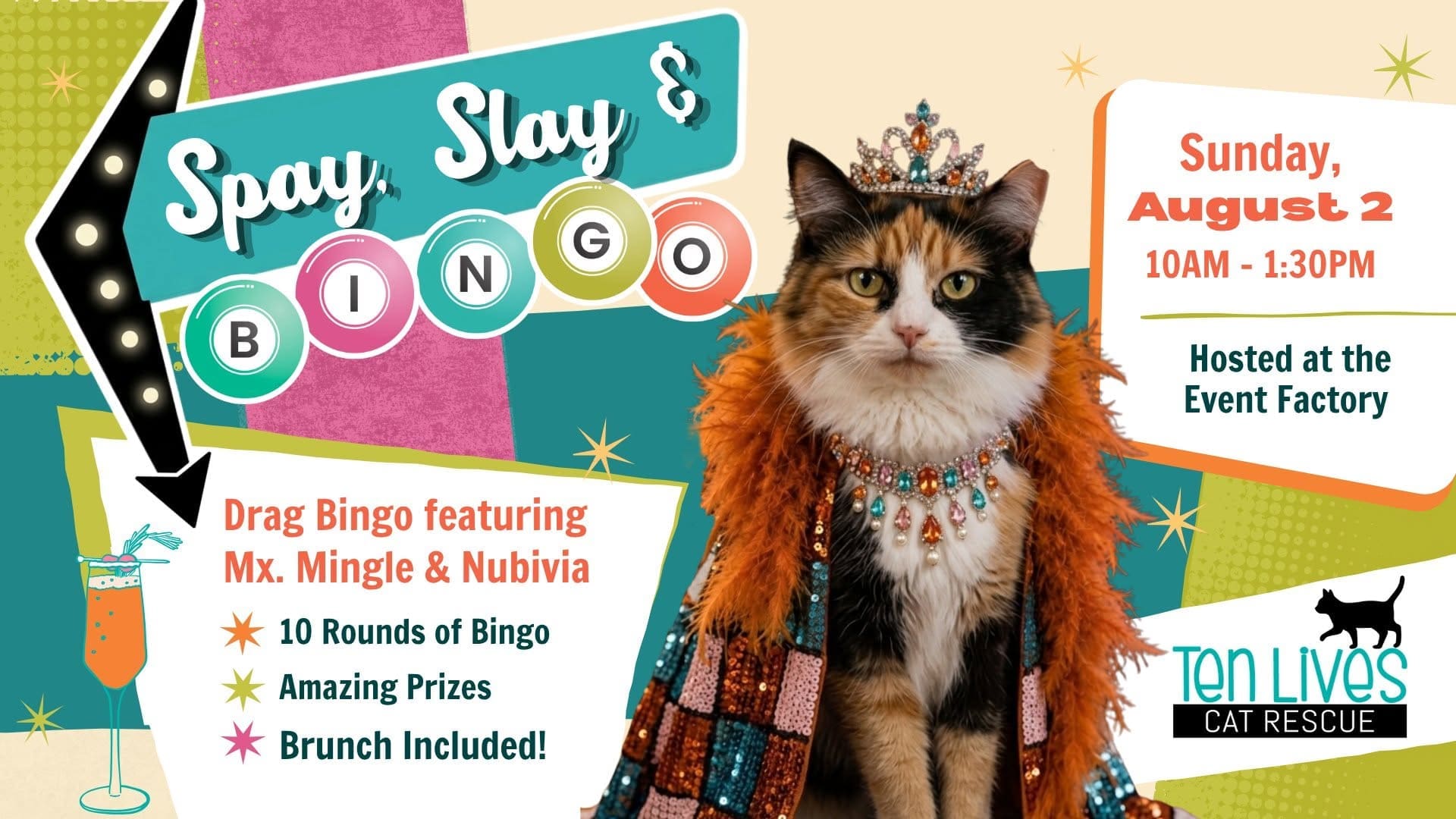 Calico cat wearing crown and cape with a sign that says Spay, Slay, & Bingo